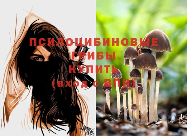гашишное масло Лабытнанги