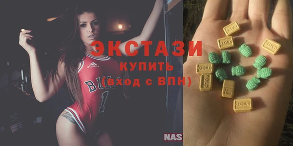хмурый Пересвет