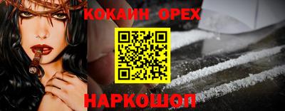 гидра Заводоуковск