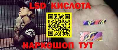 гидра Заводоуковск