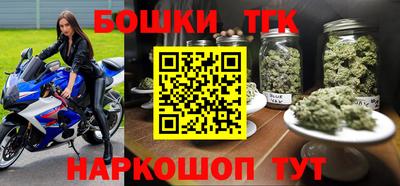 гидра Заводоуковск