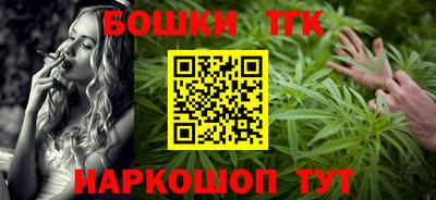 гидра Заводоуковск