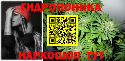 гидра Заводоуковск
