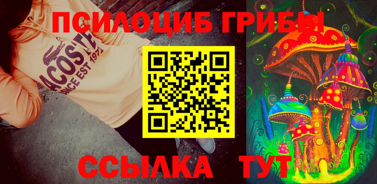 закладки  Галлюциногенные грибы мухоморы  Вход с VPN  Ленинск-Кузнецкий 