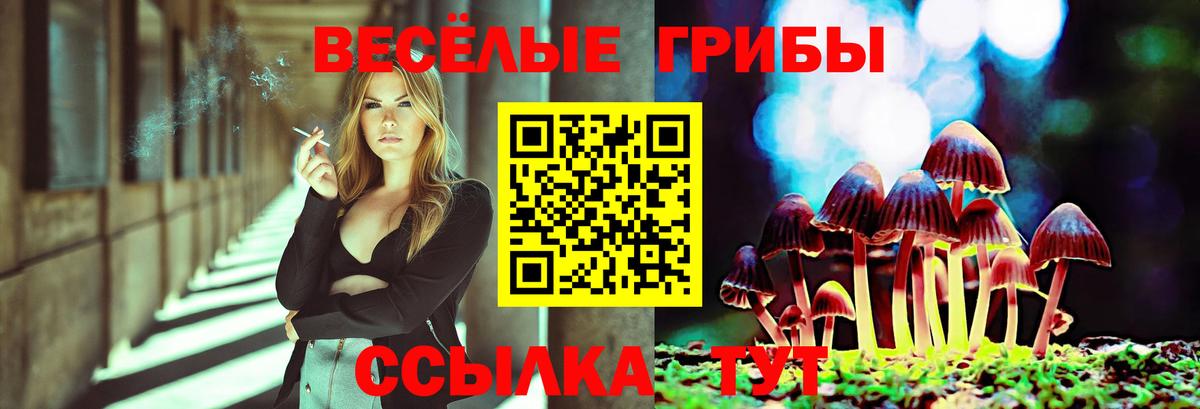 Галлюциногенные грибы прущие грибы Ленинск-Кузнецкий